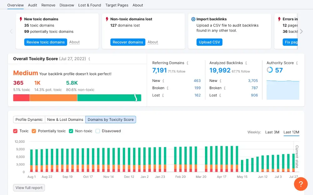 Backlink Audit and Analysis