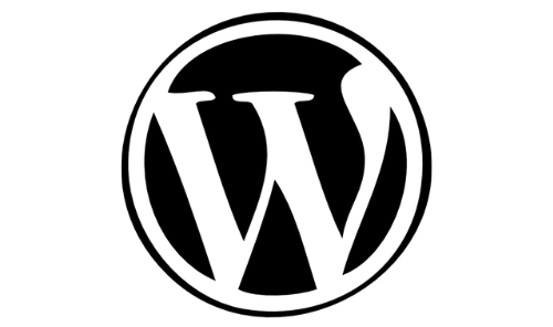 SEO Website Optimization Services 20 WordPress Website Development Service